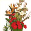 Beauty of Life - Click here to View more details about this Product